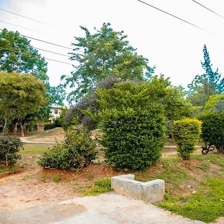 לוסקה Sanctuary Aparthotel-Ac-Garden- Solar-Wi-Fi -Firepit-Park-Carport מראה חיצוני תמונה