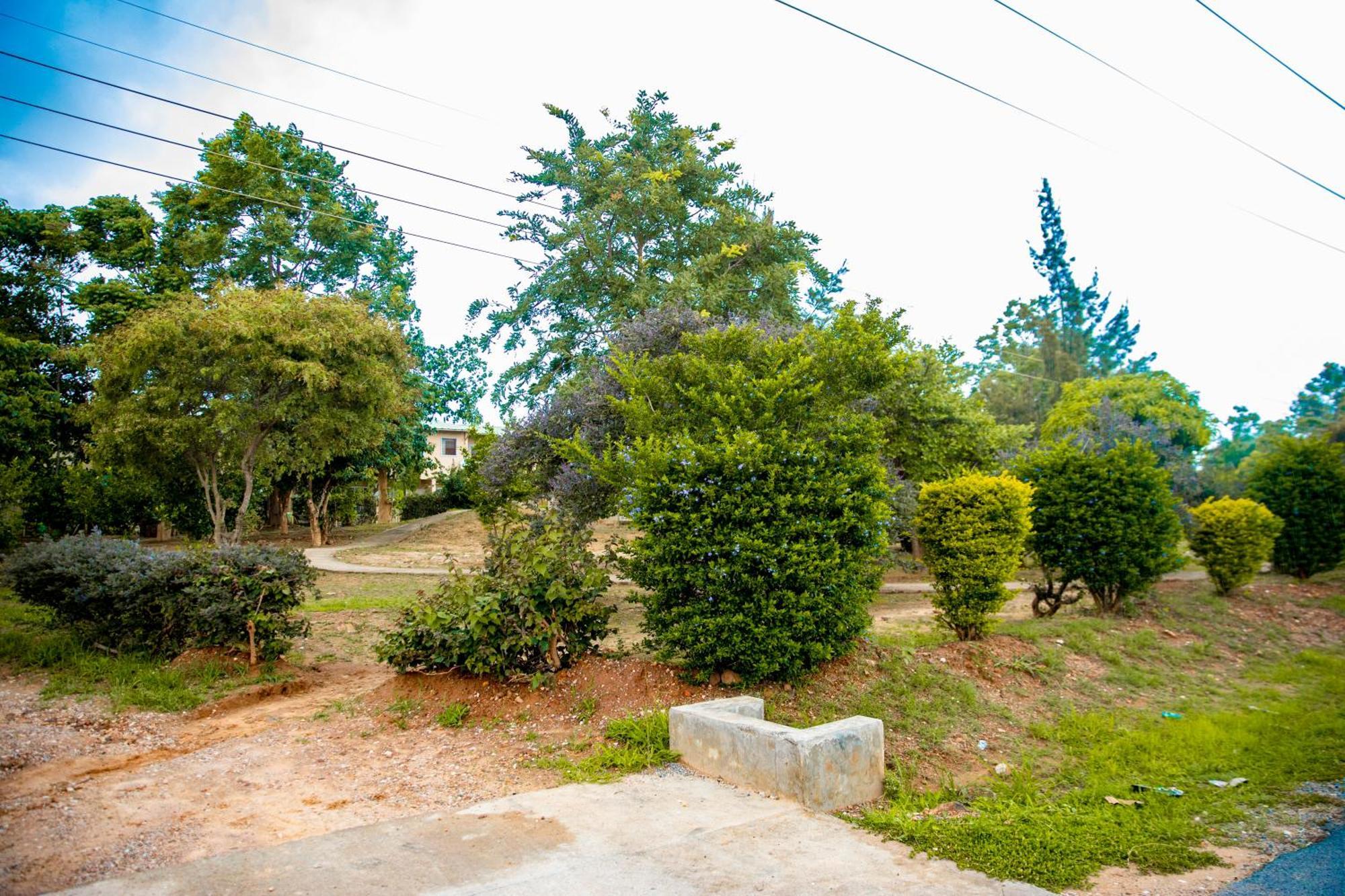 לוסקה Sanctuary Aparthotel-Ac-Garden- Solar-Wi-Fi -Firepit-Park-Carport מראה חיצוני תמונה