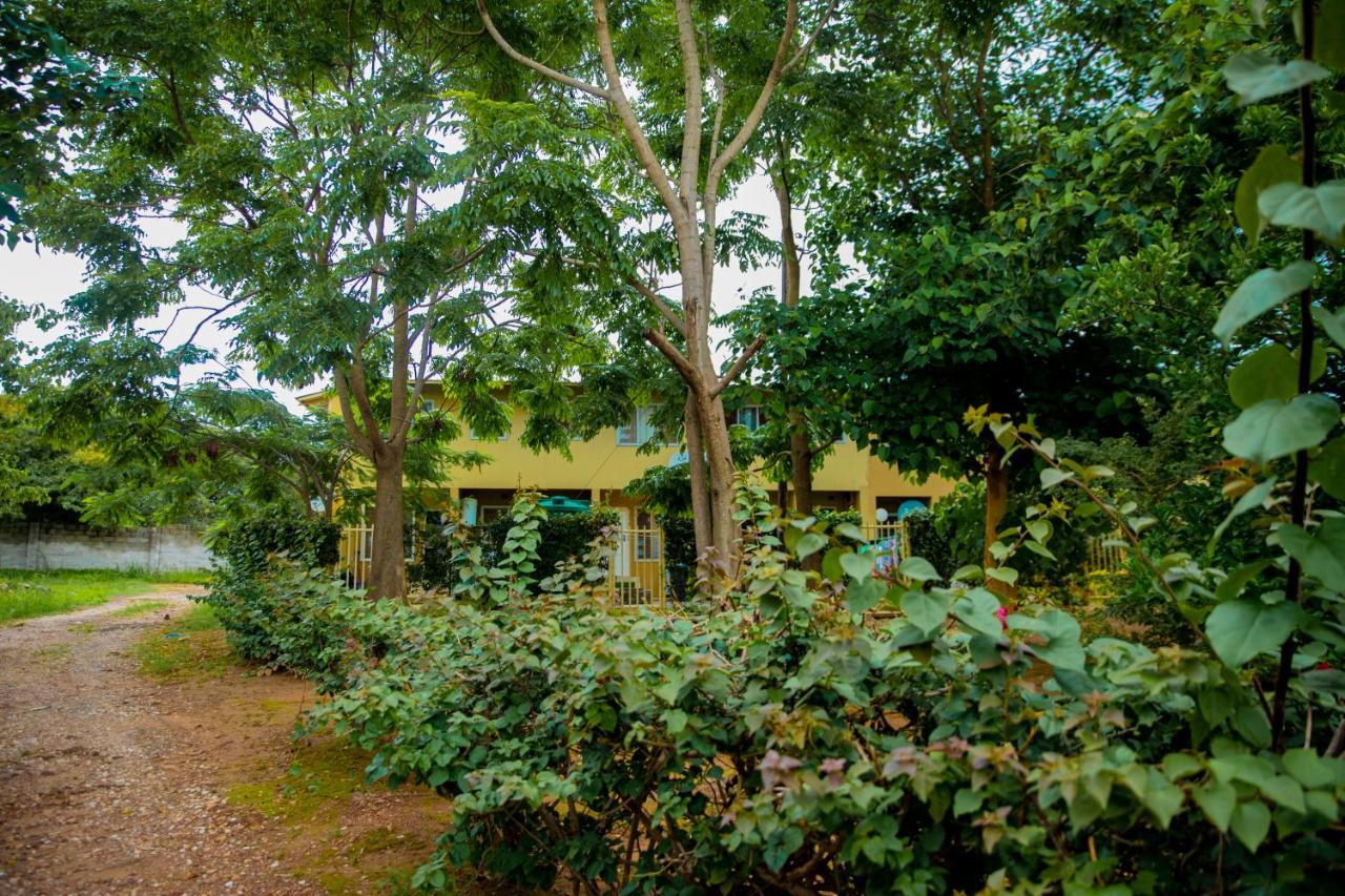 לוסקה Sanctuary Aparthotel-Ac-Garden- Solar-Wi-Fi -Firepit-Park-Carport מראה חיצוני תמונה