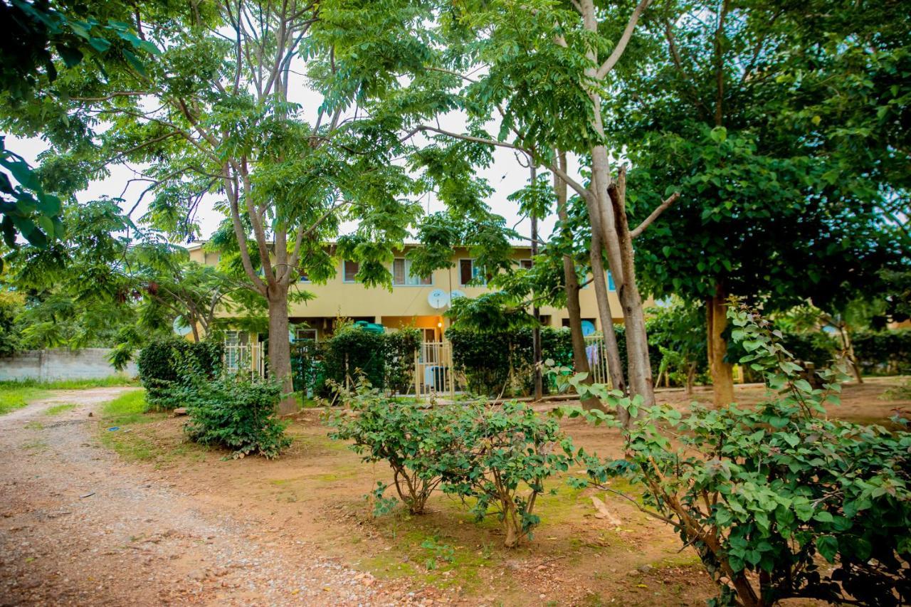 לוסקה Sanctuary Aparthotel-Ac-Garden- Solar-Wi-Fi -Firepit-Park-Carport מראה חיצוני תמונה